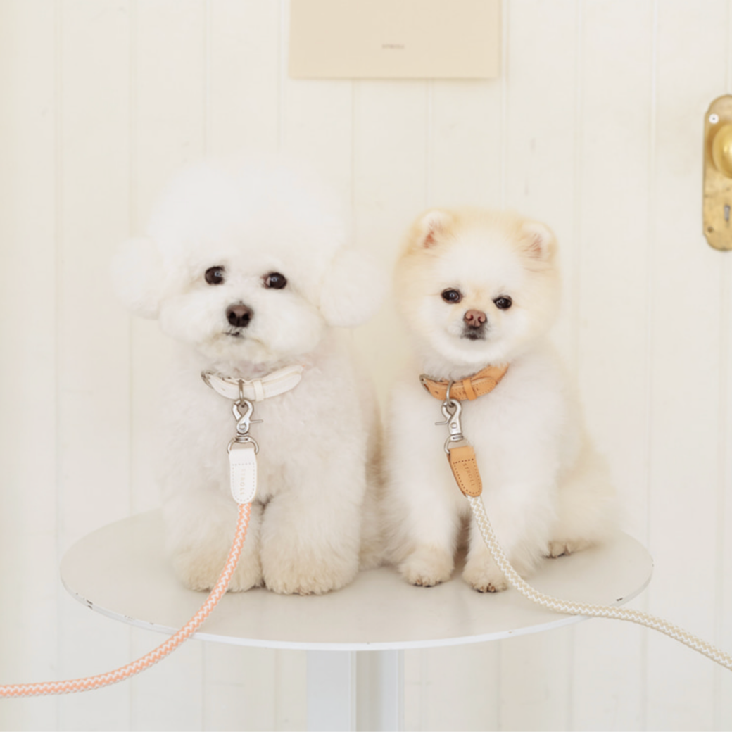 Rope Leash (Coral)