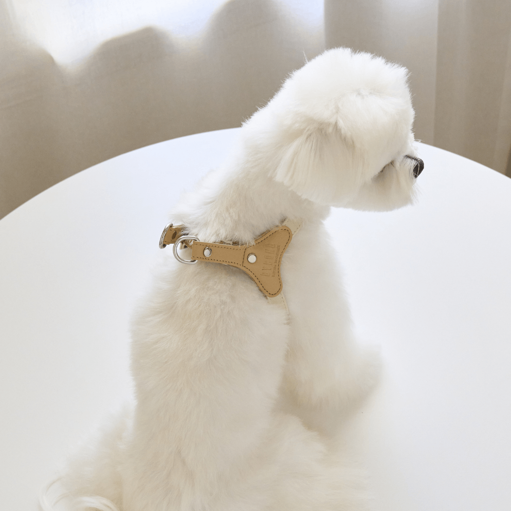 BEAR HARNESS（Ivory）