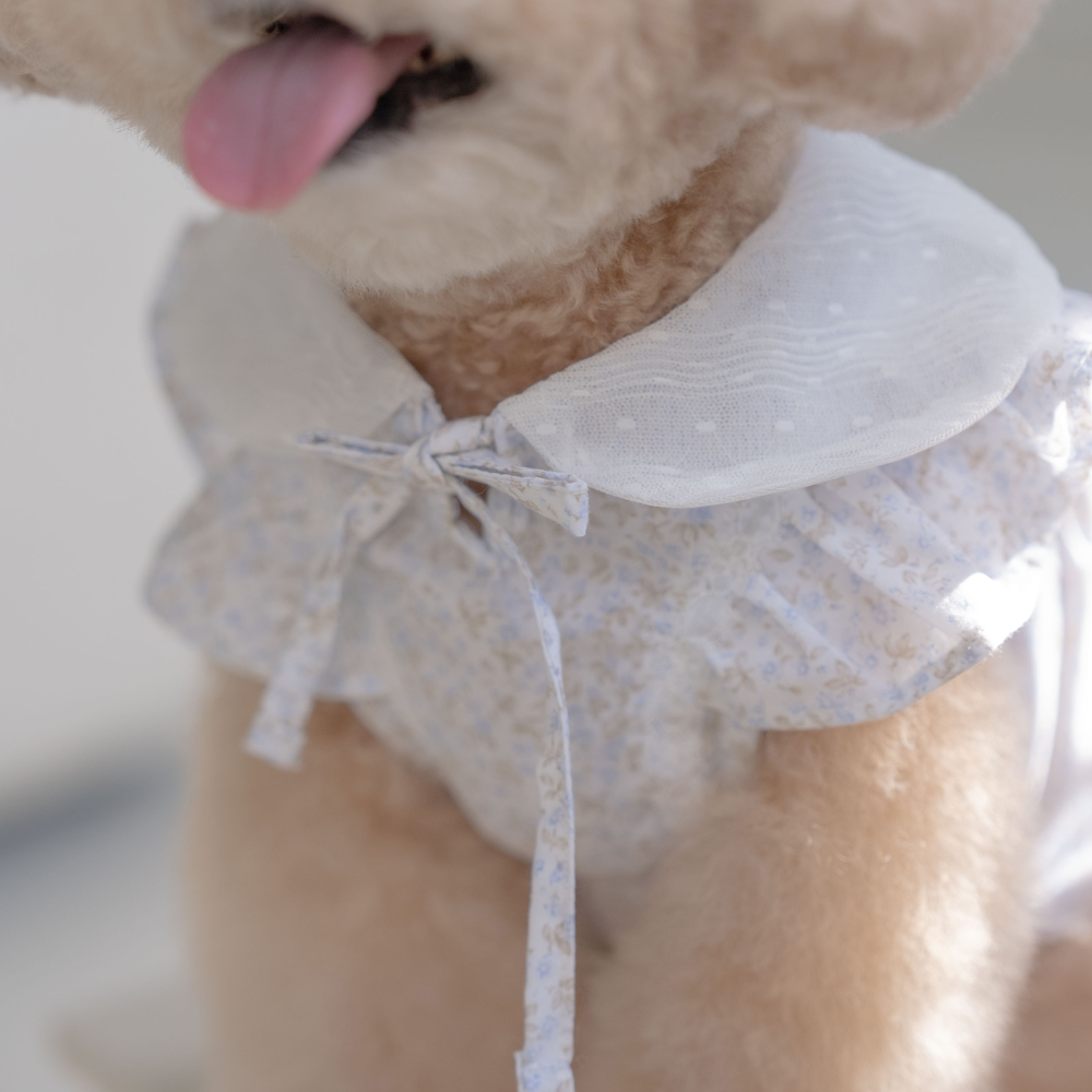 New Greenery Dress (Blue)