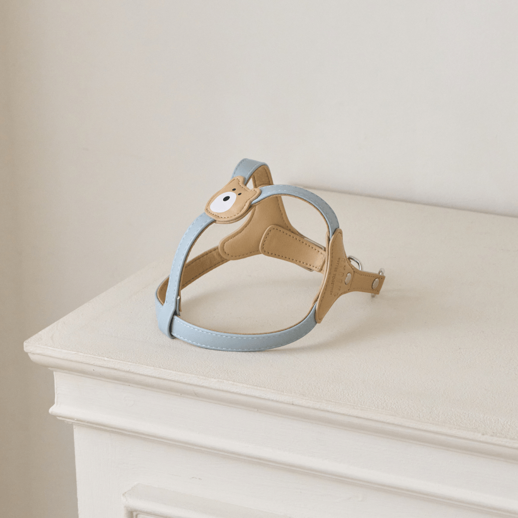 BEAR HARNESS（Indi Blue）
