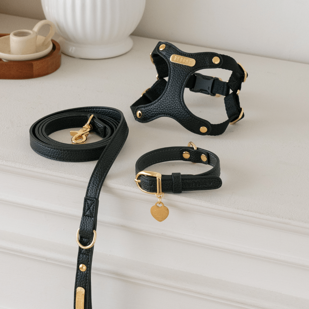 BYBONG DELIGHT HARNESS（ブラック）｜MINIME公式通販サイト