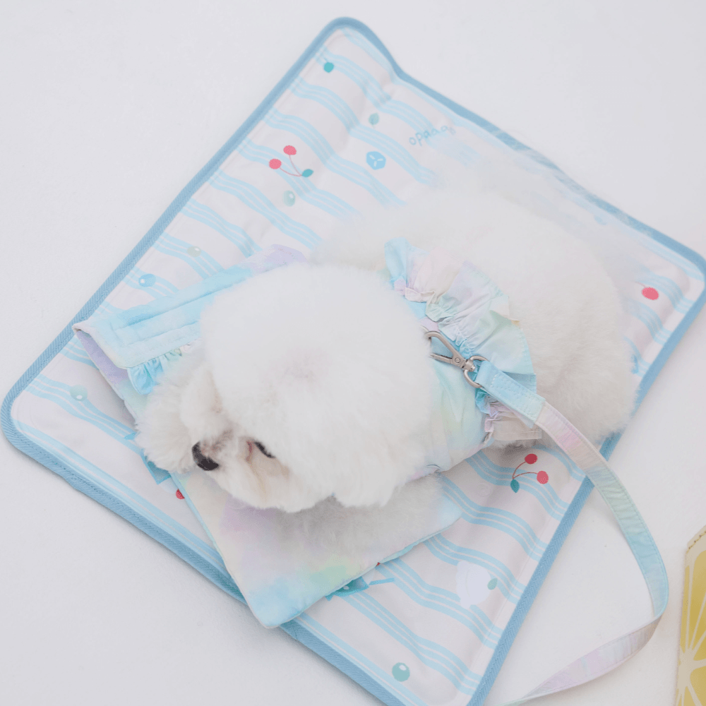 True COOL Ice Mat (Melon Soda）