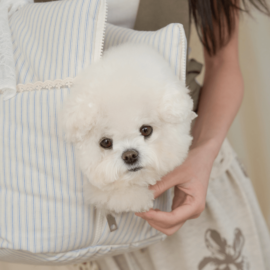 wide bag - stripe ivory（APERTY）