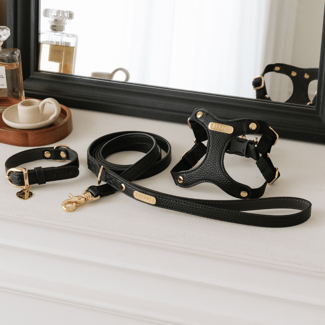 MINIME ハーネス　リード　セットで BYBONG DELIGHT HARNESS（クリーム）｜MINIME公式通販サイト