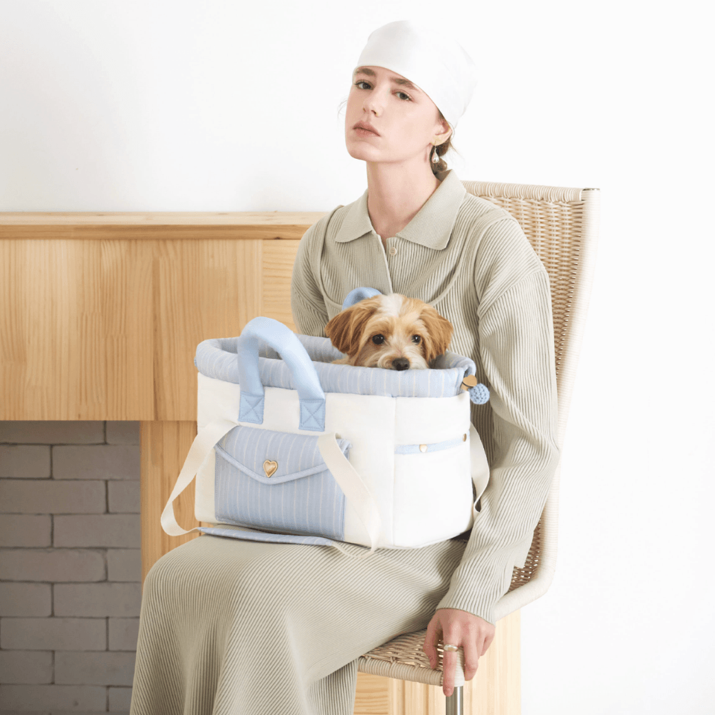Letter Bag (Blue)
