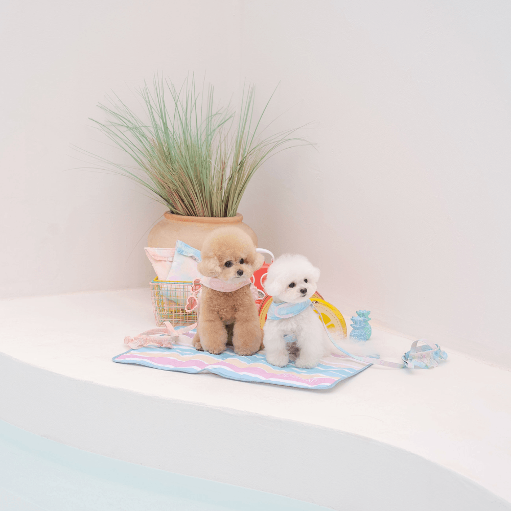 True COOL Ice Mat (Candy Stripe）