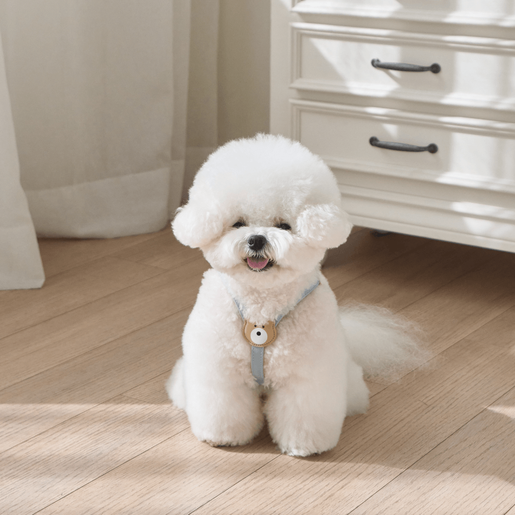 BEAR HARNESS（Indi Blue）