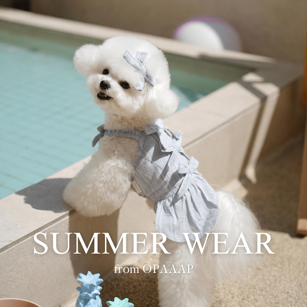 minime.韓国ba&ttang.犬.チェックキャリーバッグ.ショルダー