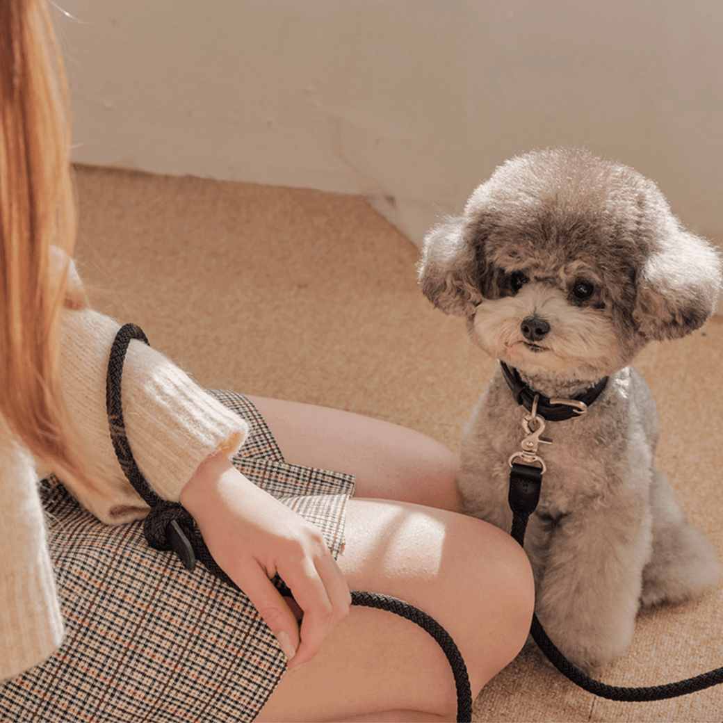 Rope Leash (Black)