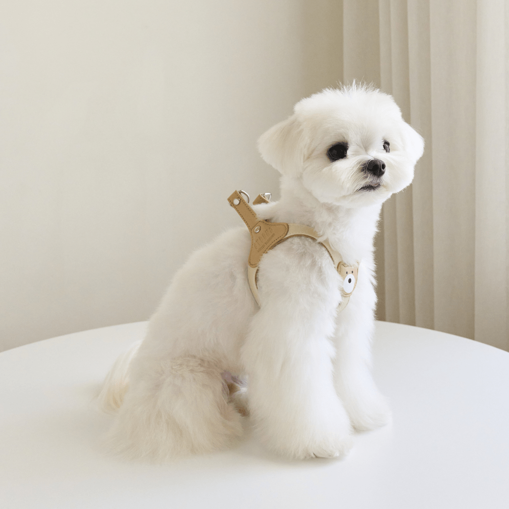 BEAR HARNESS（Ivory）