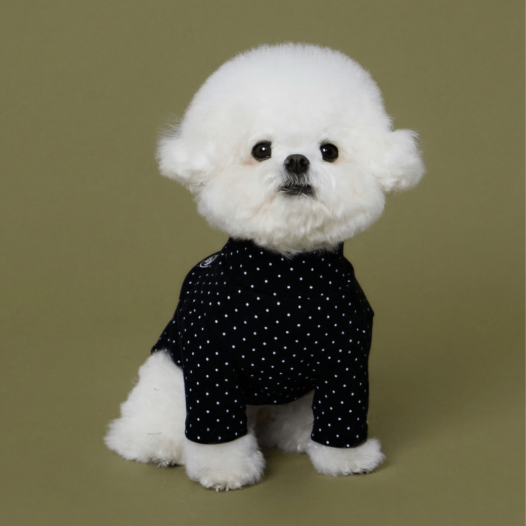 DOT‥TEE (FOR DOGS)