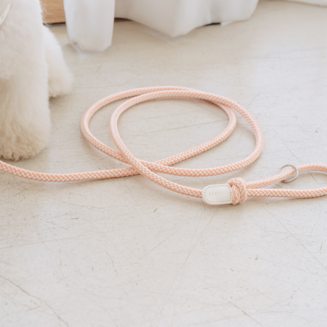 Rope Leash (Coral)
