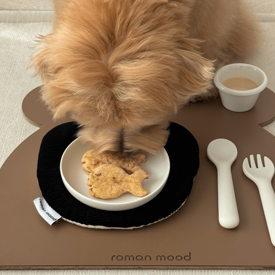 MOOD COASTER (4COLOR)