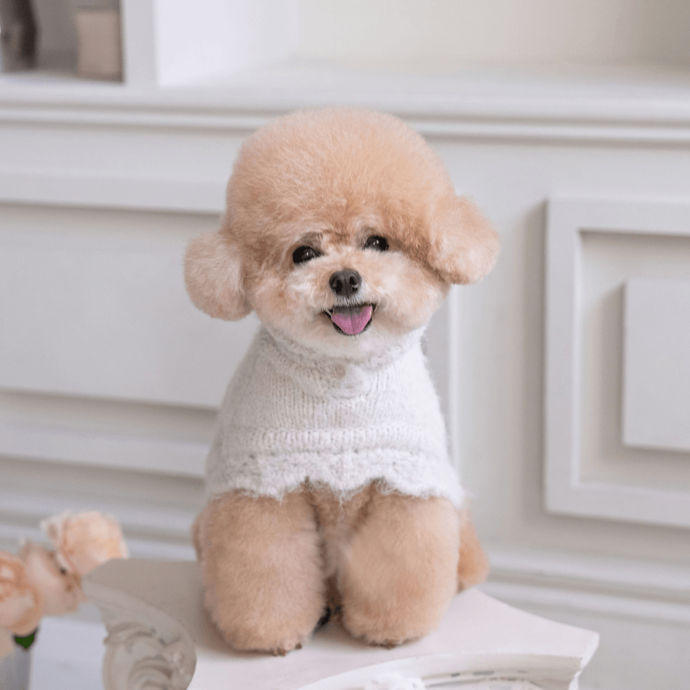 LOLO Poncho Knit（cloud white）