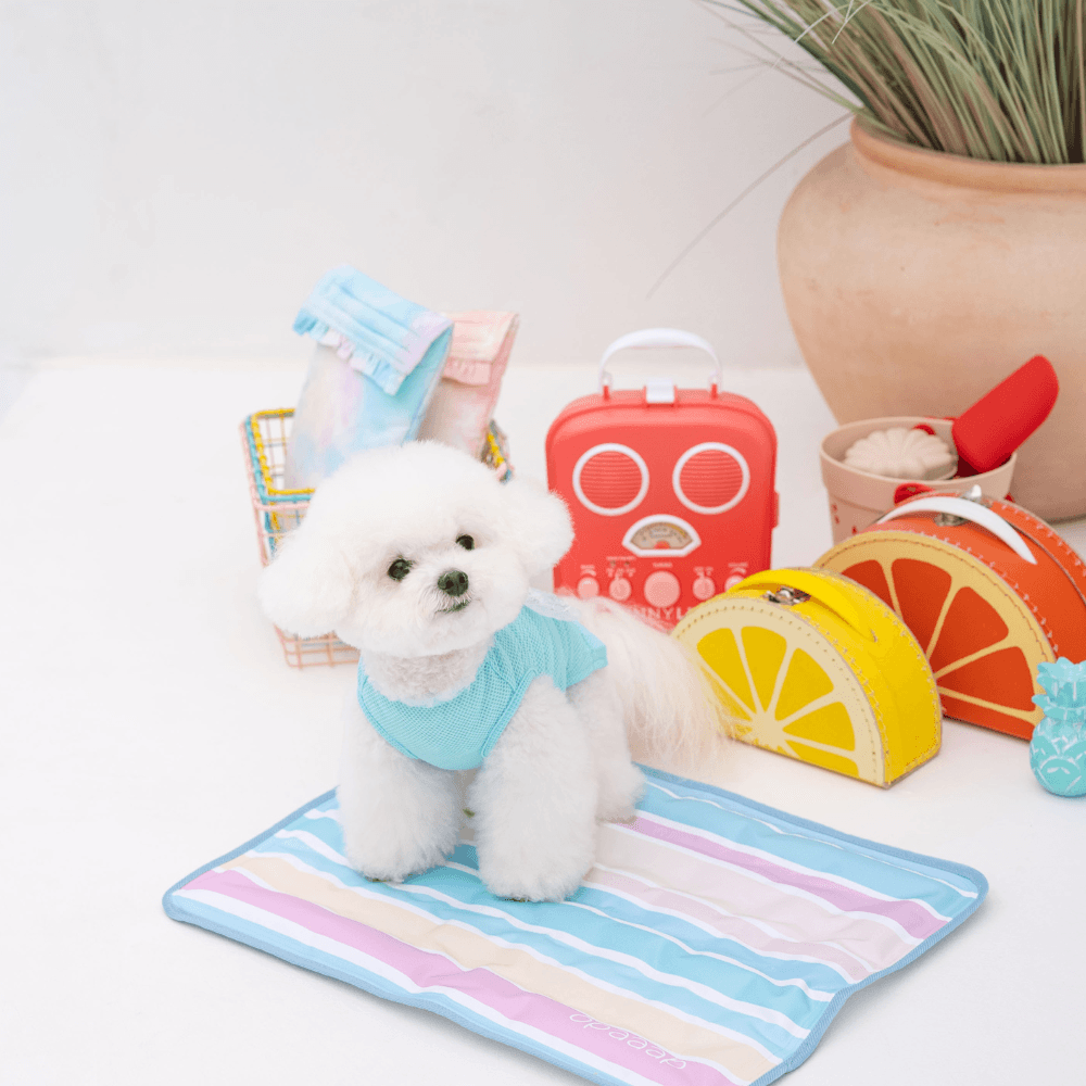 True COOL Ice Mat (Candy Stripe）