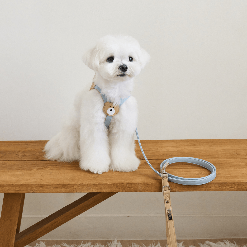 BEAR 150cm LEASH（Indi Blue）