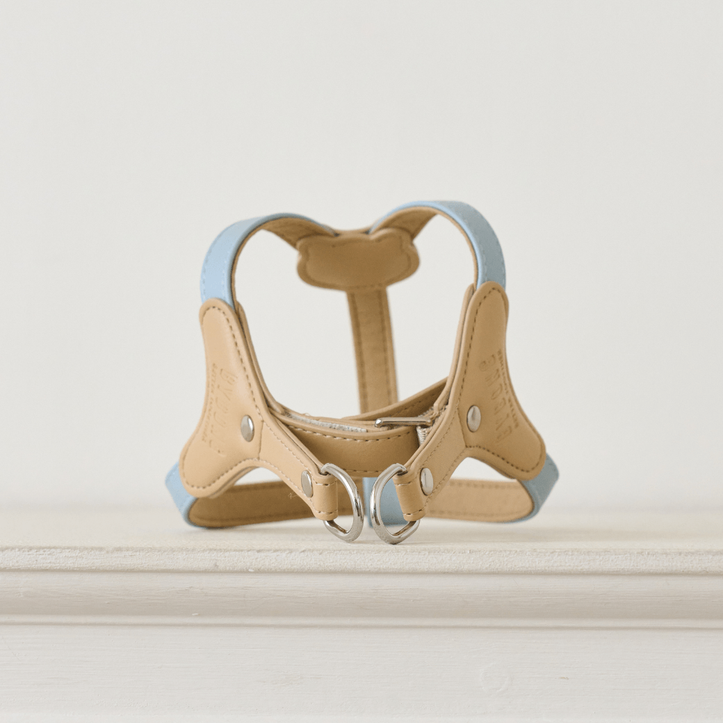 BEAR HARNESS（Indi Blue）