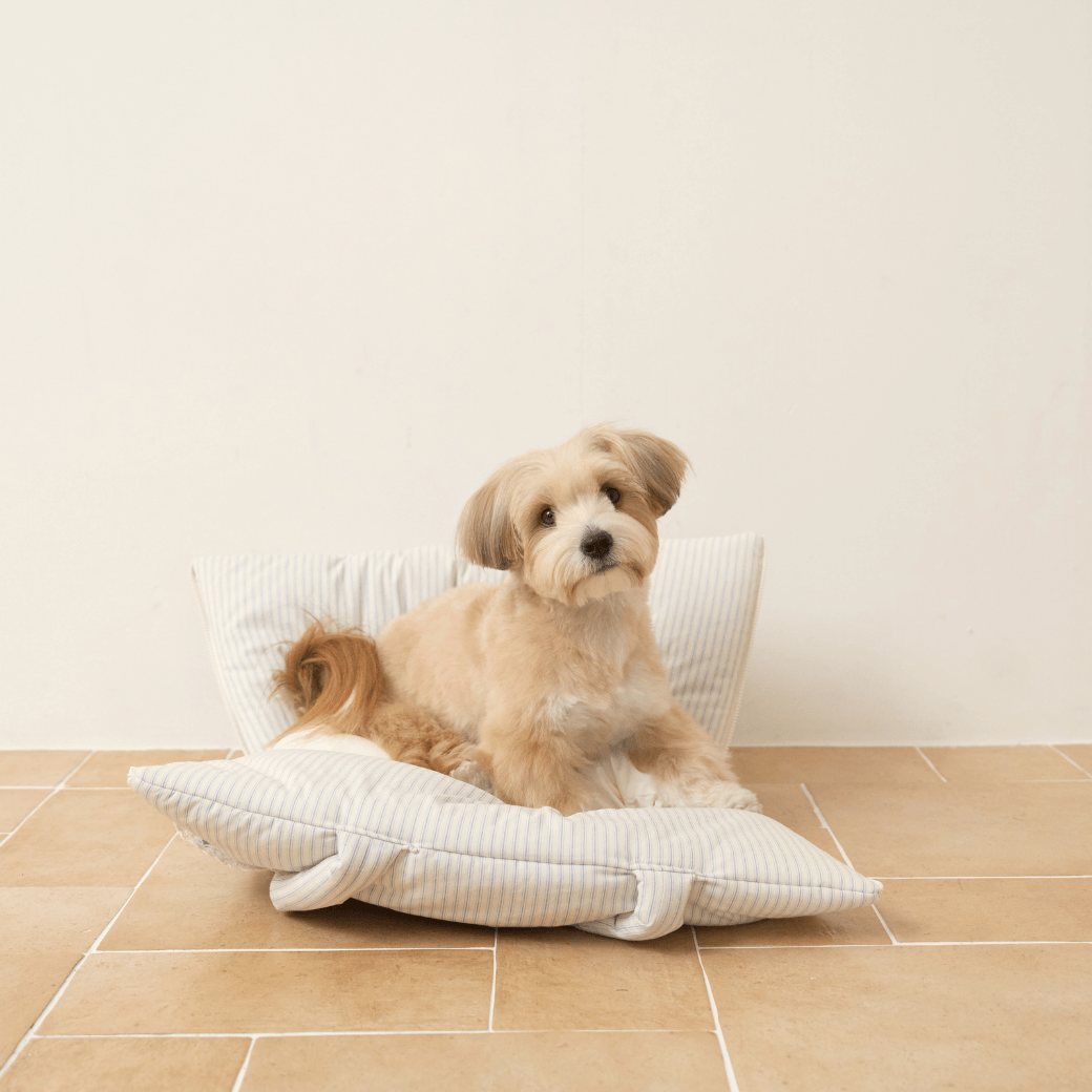 wide bag - stripe ivory（APERTY）