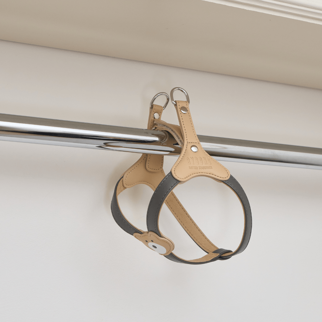 BEAR HARNESS（Dark Grey）