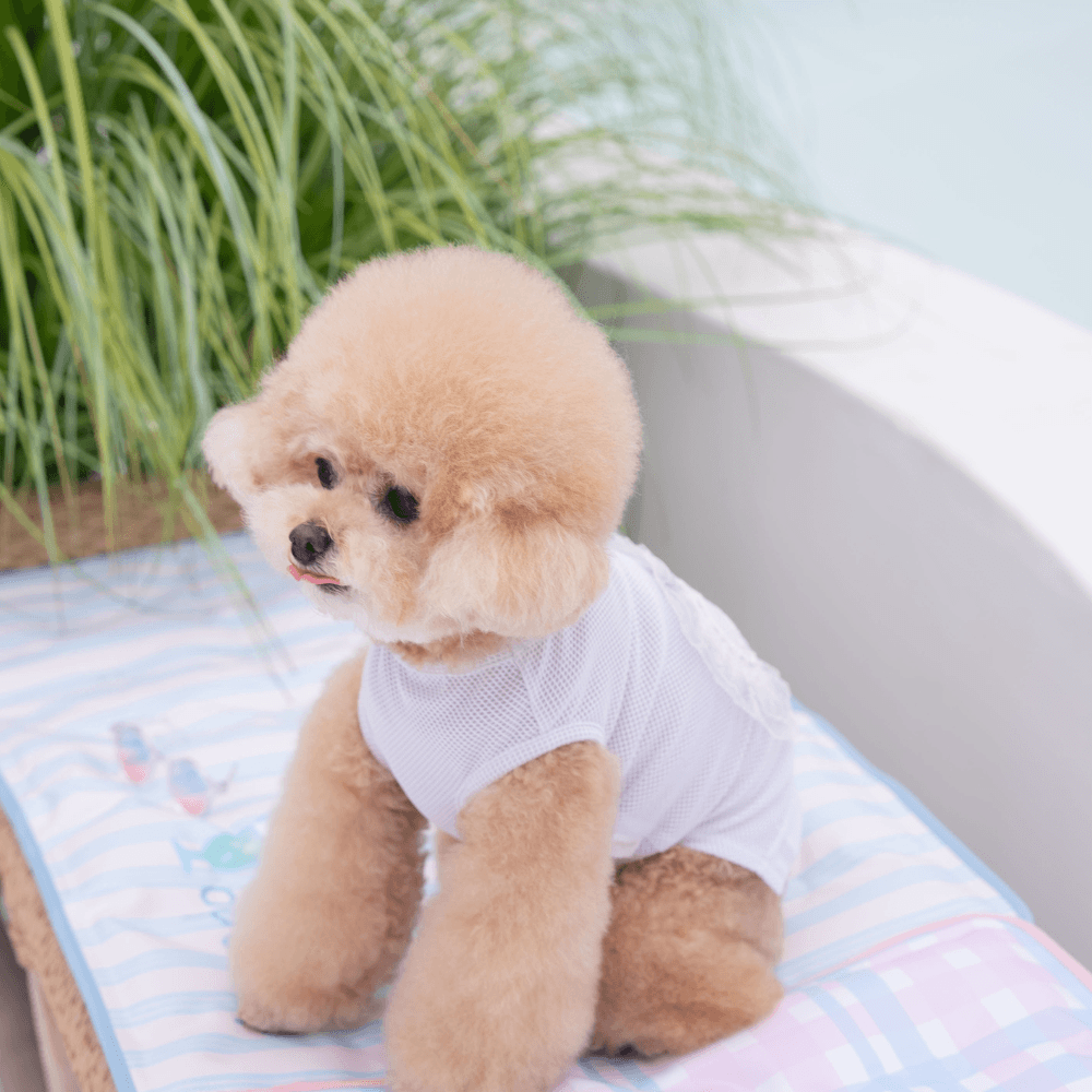 Heart COOL Protect T-shirt（Ice White）
