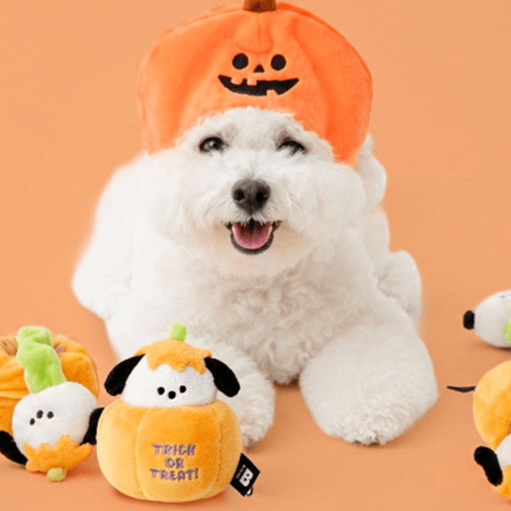 パンプキンパピーストレッチトイ bite me 犬用おもちゃ