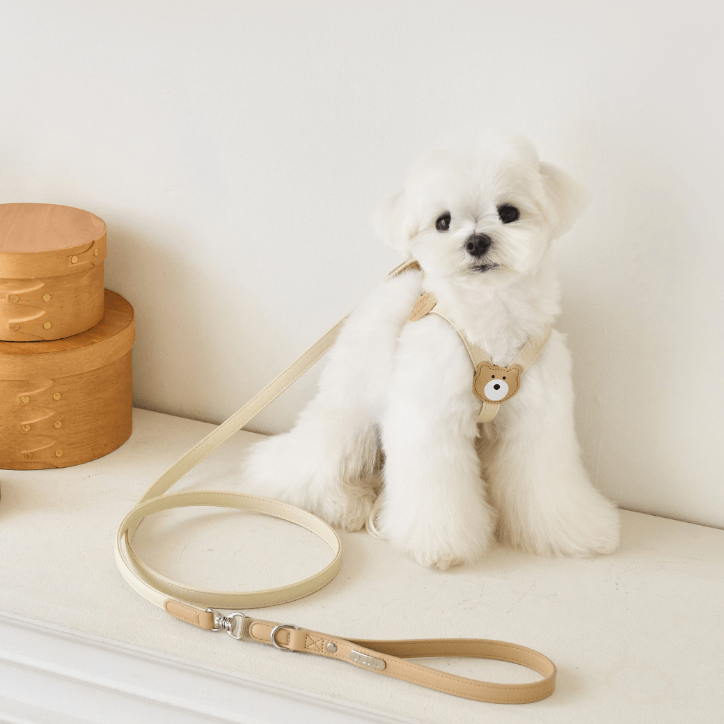 BEAR HARNESS（Ivory）