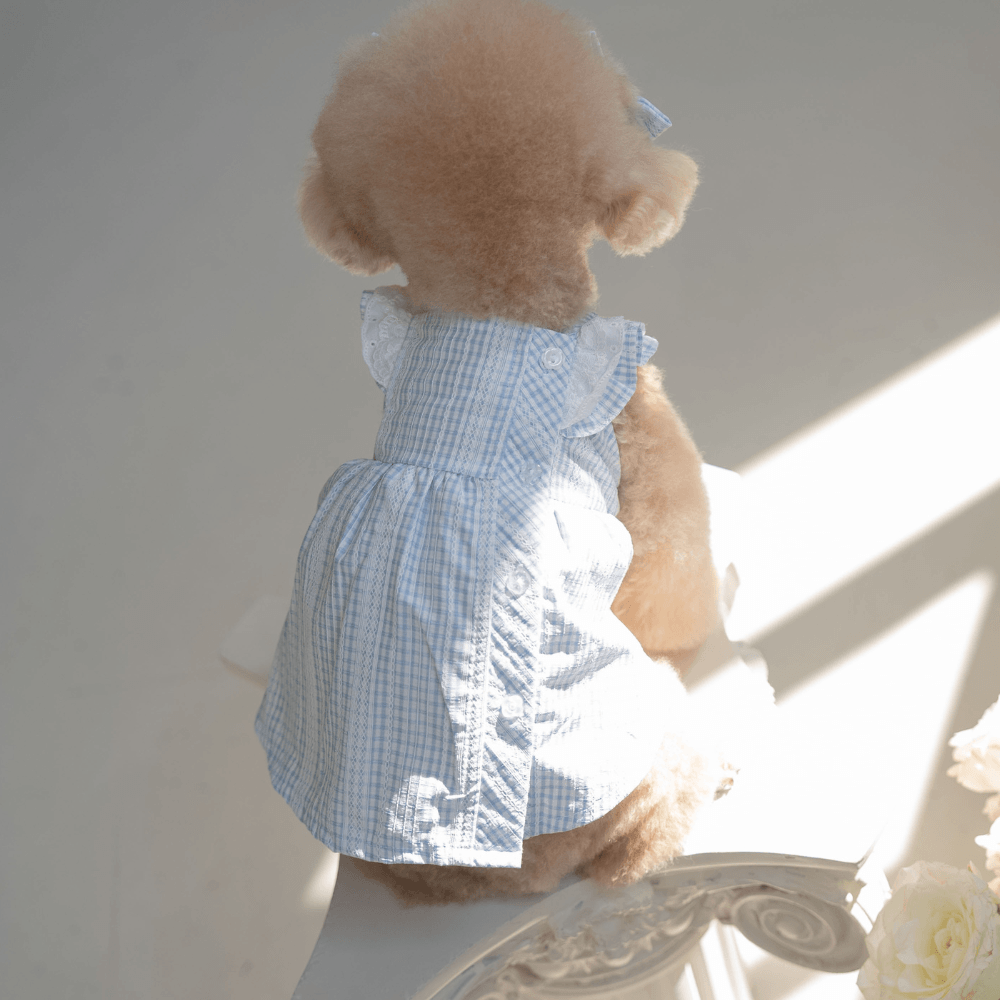 Sunkist Dress（Blue）