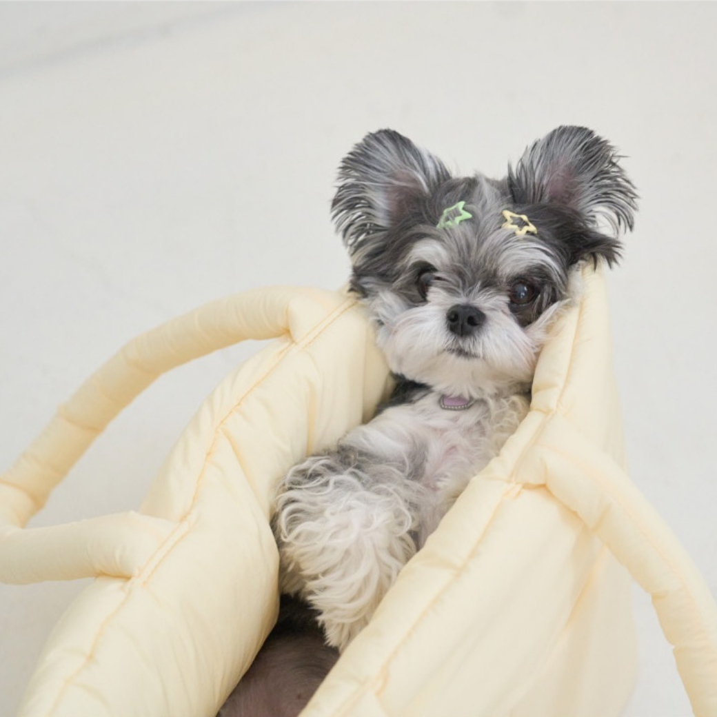 APERTY wide bag – yellow｜韓国発の犬用キャリーバッグ｜MINIME