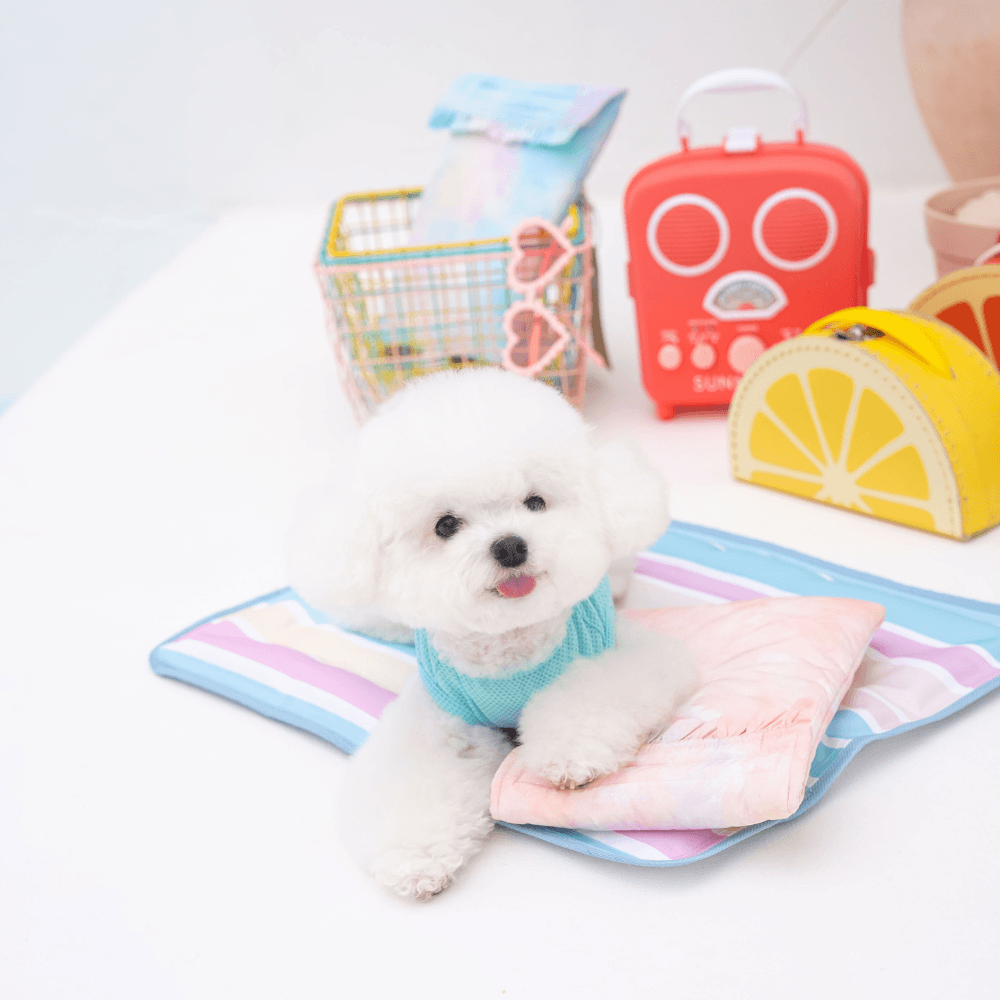 Ice Water Pouch 保冷剤付（2COLOR）