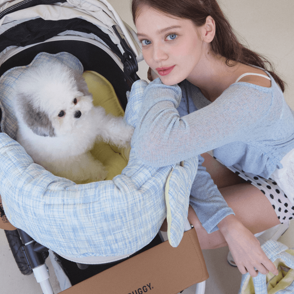 【5/12 21:00予約販売開始】Summer Tweed Buggy Pillow（Blue）