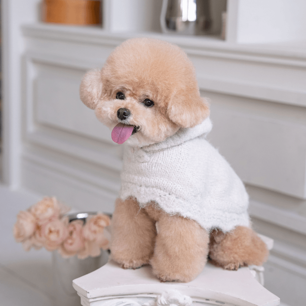 LOLO Poncho Knit（cloud white）