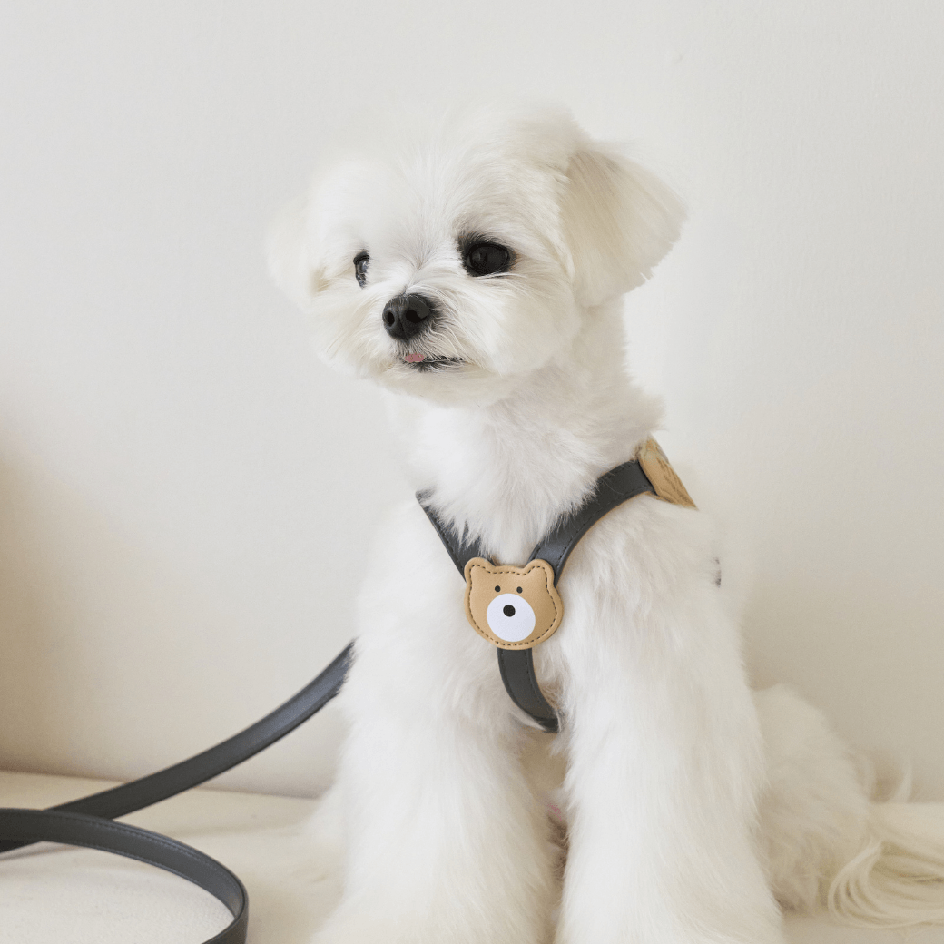 BEAR HARNESS（Dark Grey）