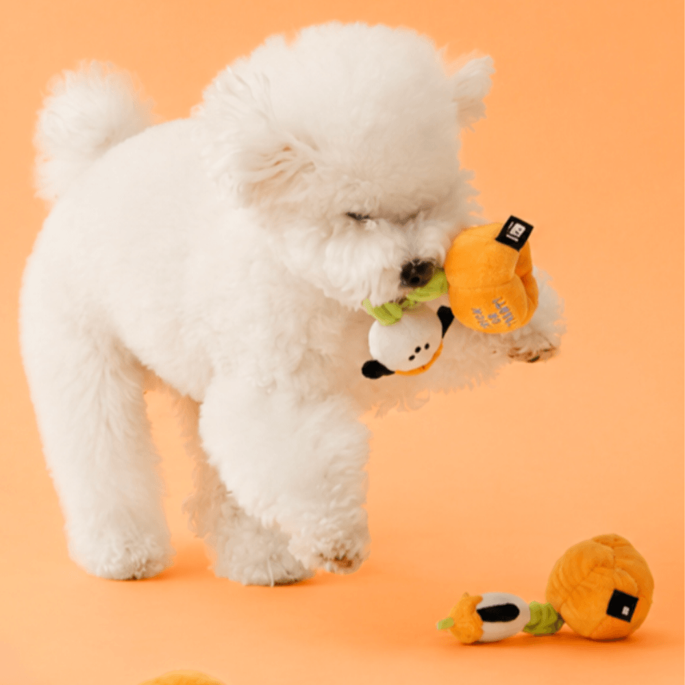 パンプキンパピーストレッチトイ bite me 犬用おもちゃ