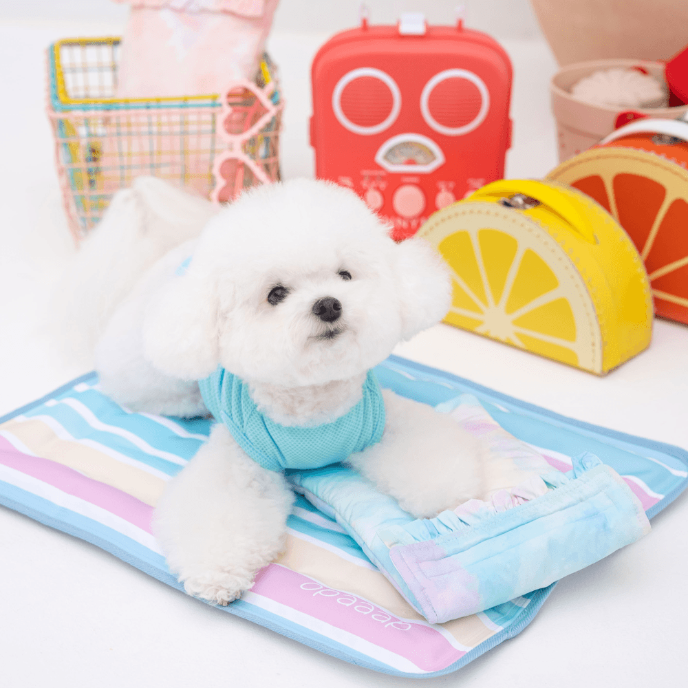 Ice Water Pouch 保冷剤付（2COLOR）