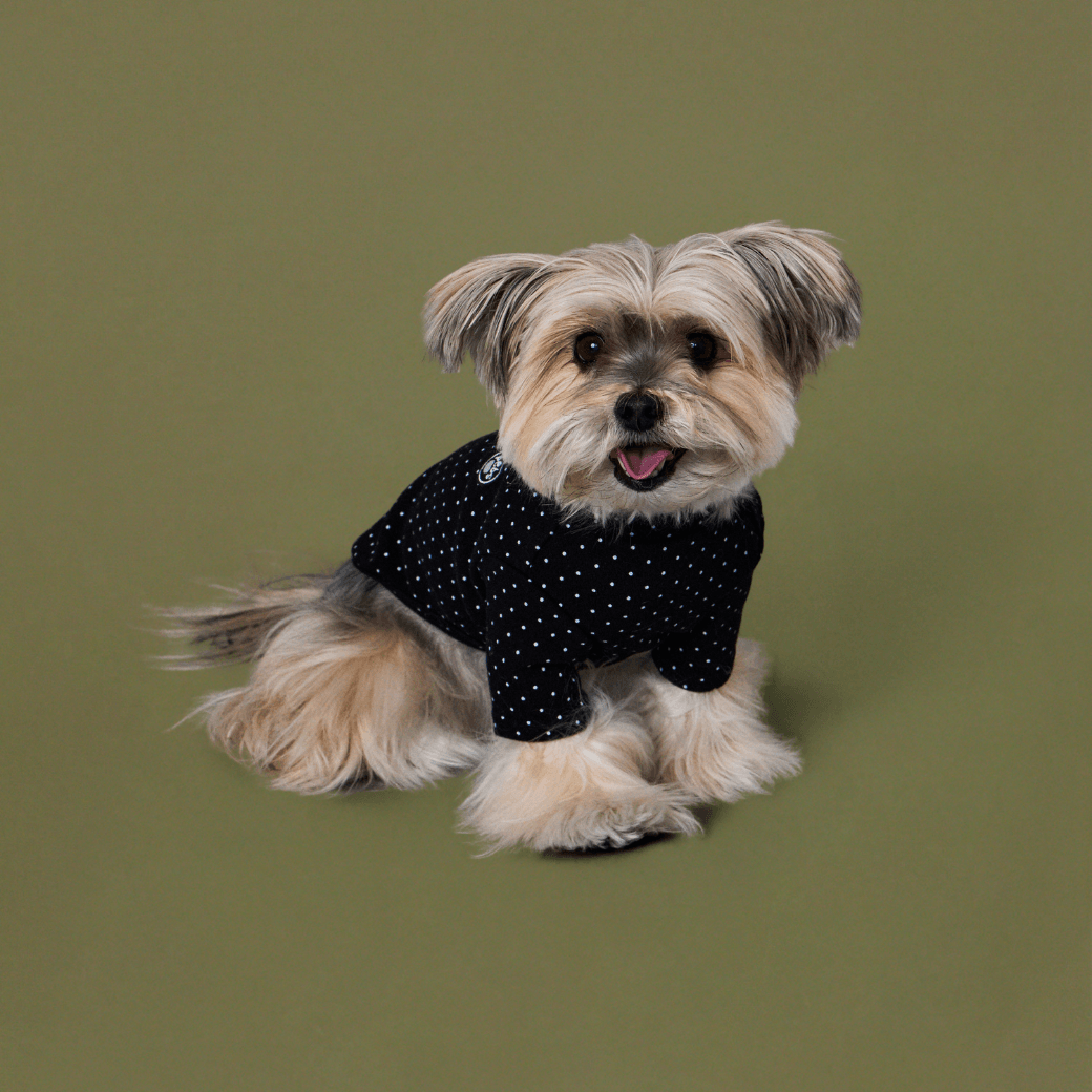 DOT‥TEE (FOR DOGS)
