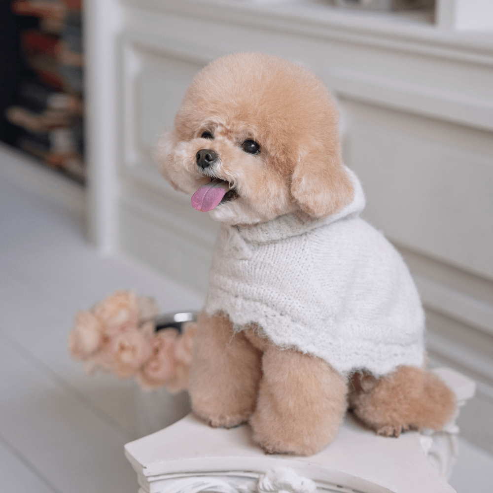LOLO Poncho Knit（cloud white）