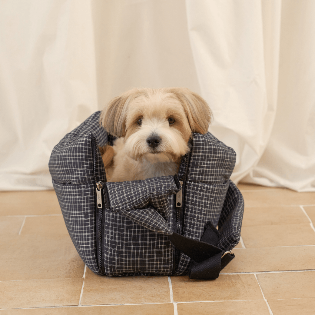 【予約】open bag - check black（APERTY）