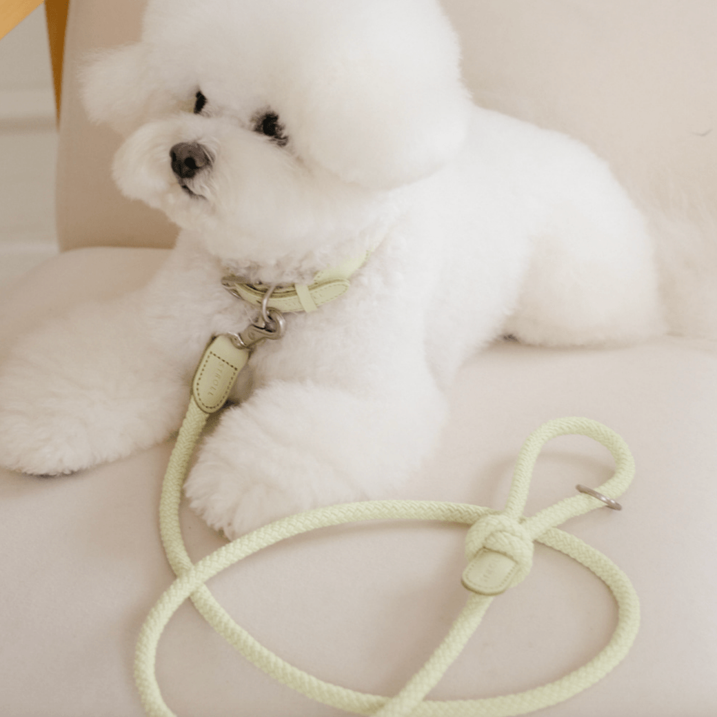 Rope Leash (Pistachio)