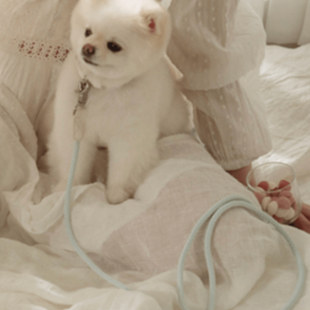 Rope Leash (Soda)