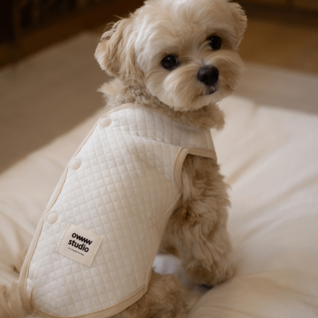 ORGANIC QUILTED VEST（ネーム刺繍可）