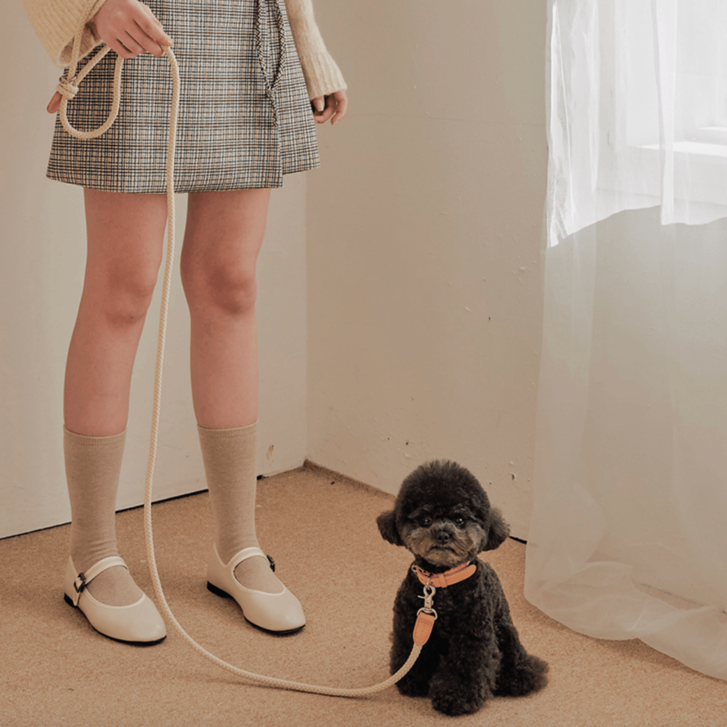 Rope Leash (Beige)
