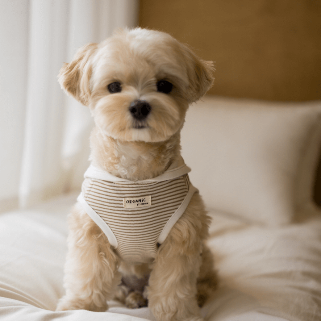 【予約】ORGANIC SAILOR SLEEVLESS（ネーム刺繍可 / 2COLOR）