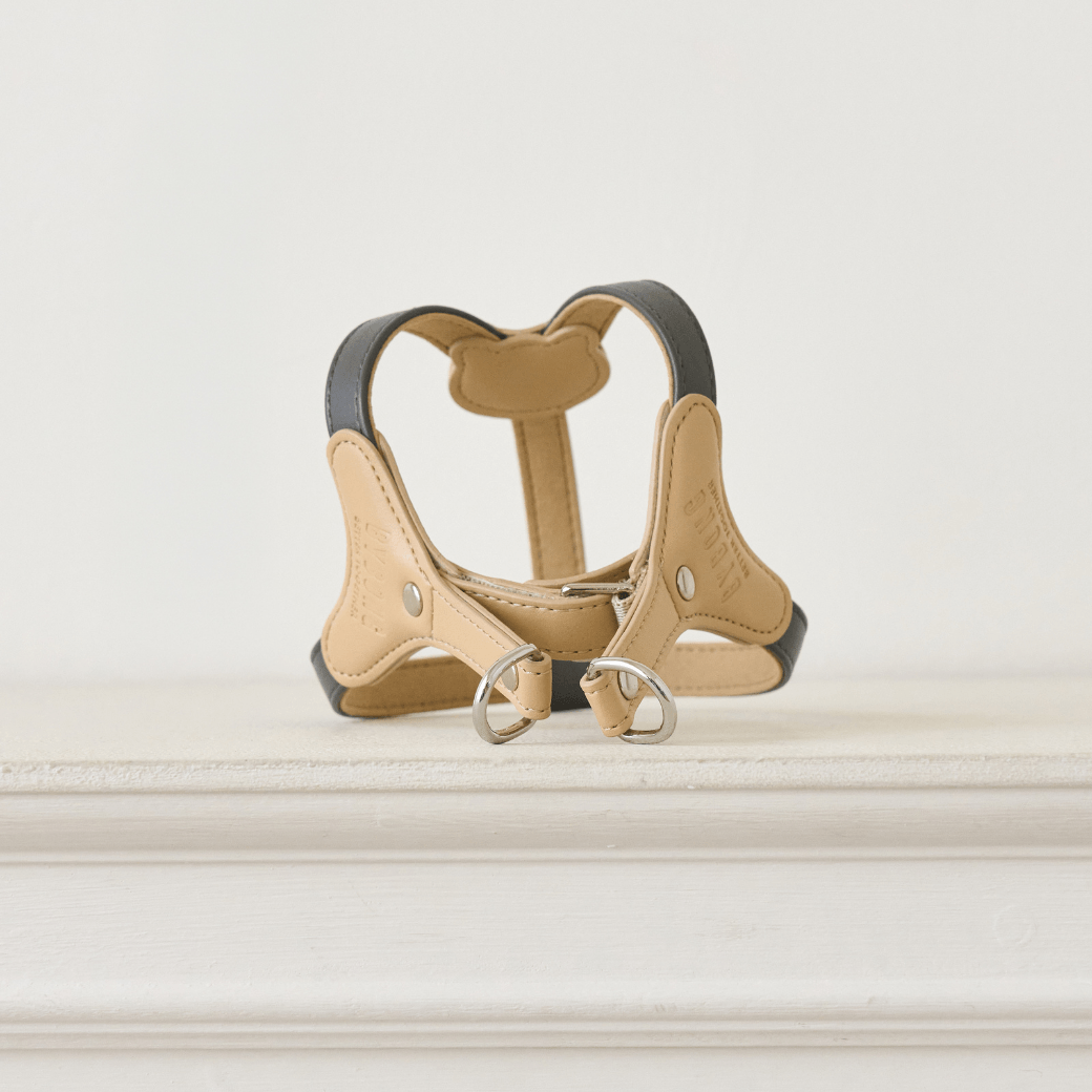 BEAR HARNESS（Dark Grey）