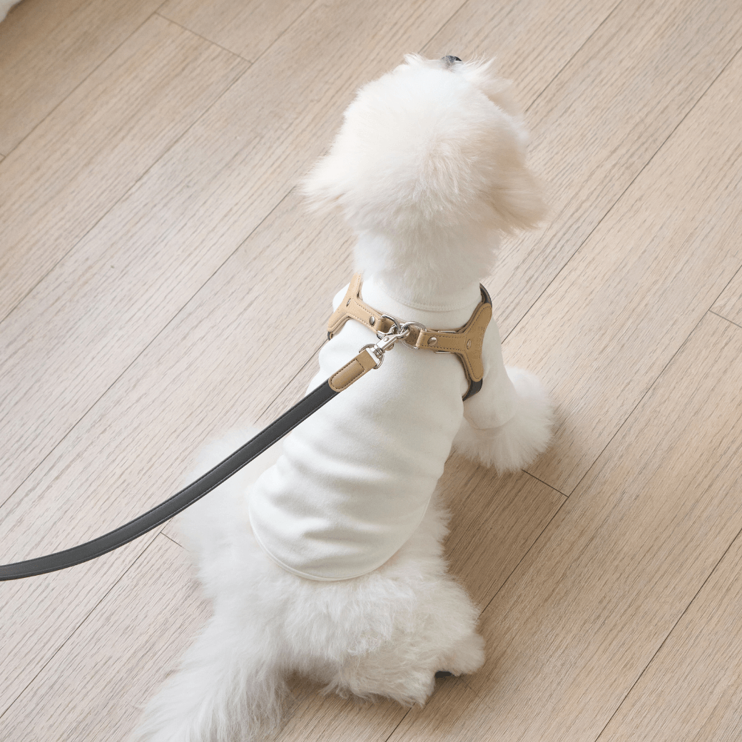 BEAR HARNESS（Dark Grey）