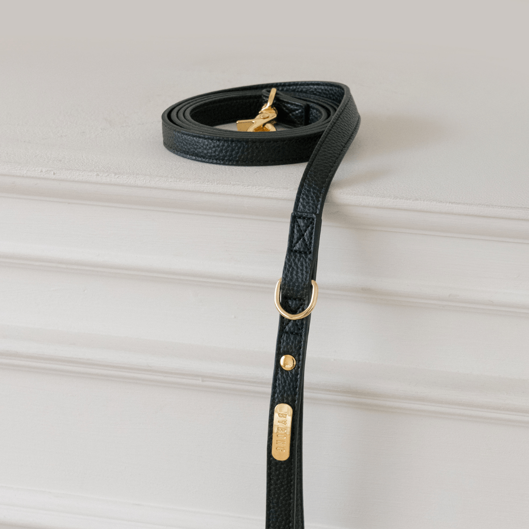DELIGHT LEASH（ブラック）