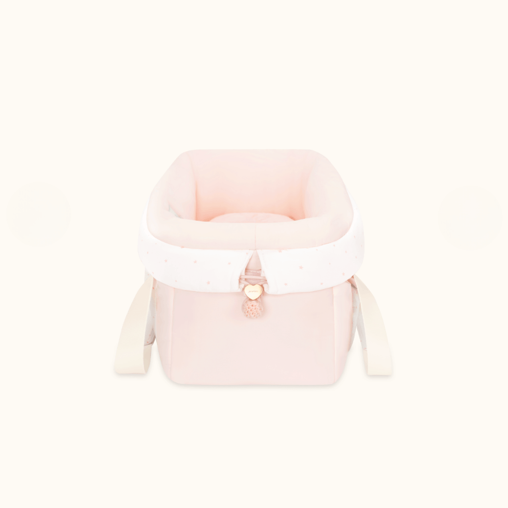 Letter Bag (Pink)