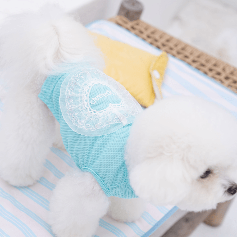 Heart COOL Protect T-shirt（Aqua Ice）