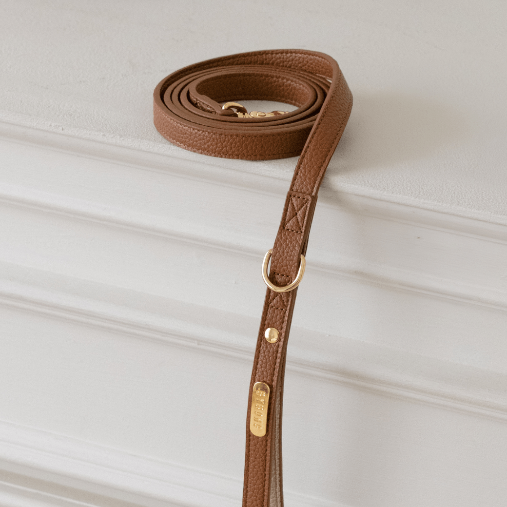 DELIGHT LEASH（キャメル）