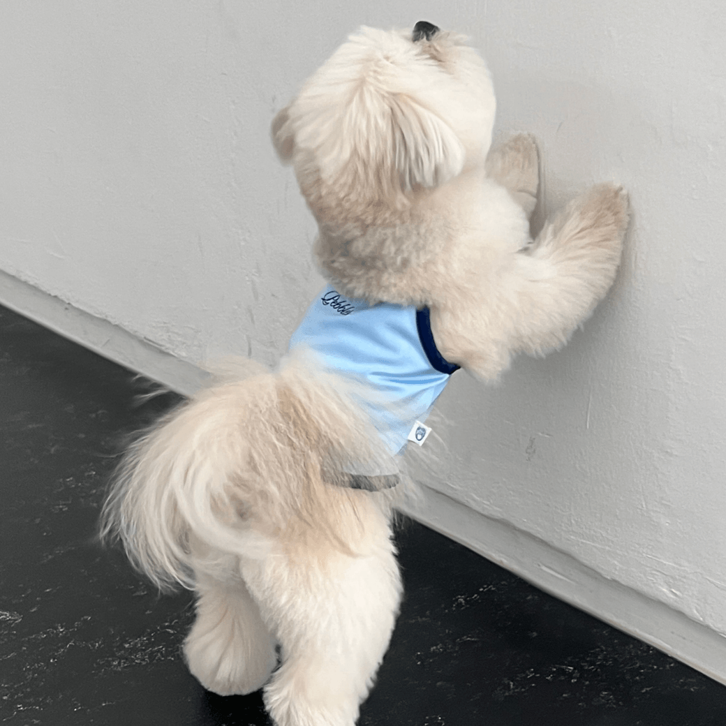 【8/3〜配送】SHIMMERY COOL TEE (SKYBLUE）