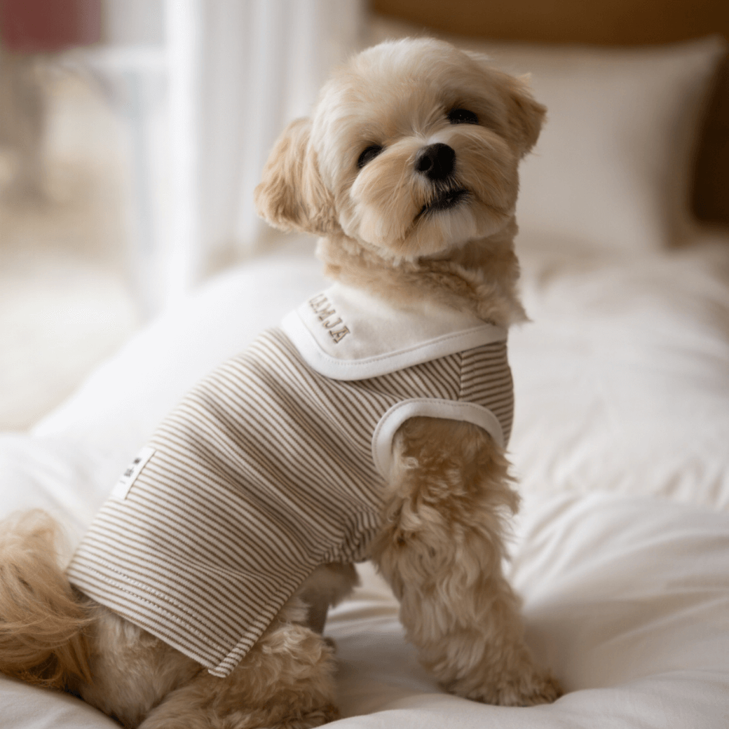 【予約】ORGANIC SAILOR SLEEVLESS（ネーム刺繍可 / 2COLOR）